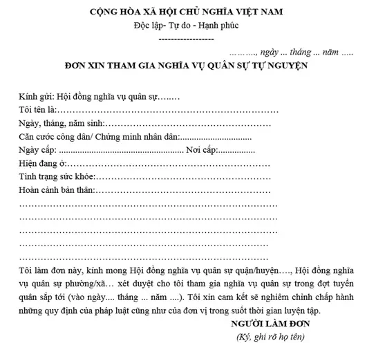 Các tổ chức phi chính phủ (NGOs) và tổ chức xã hội