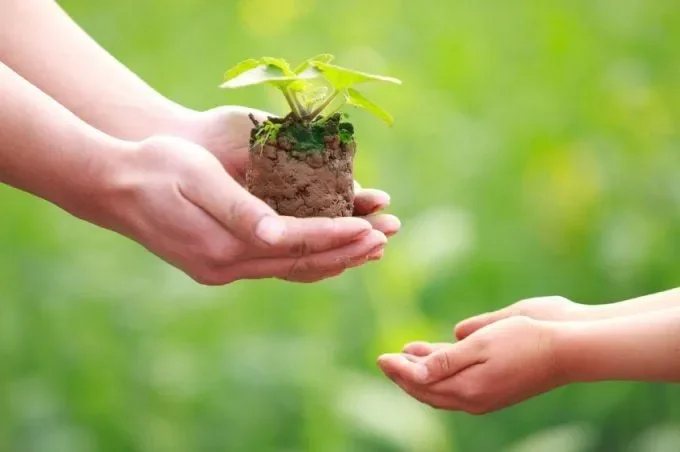 Phân tích sự khác nhau cốt lõi giữa tự nguyện và tự giác