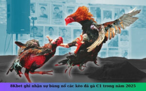 8Kbet ghi nhận sự bùng nổ các kèo đá gà C1 trong năm 2025
